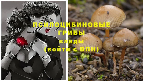 круглые Алзамай